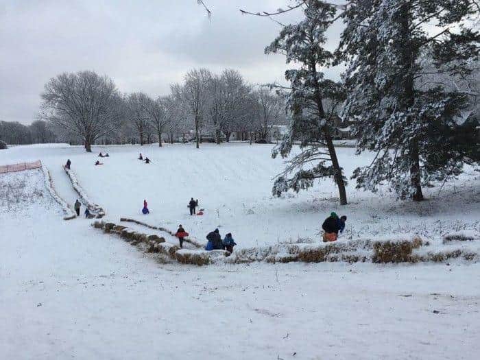 Snow Day Fun