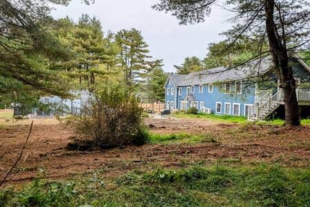 rear of house from the woods