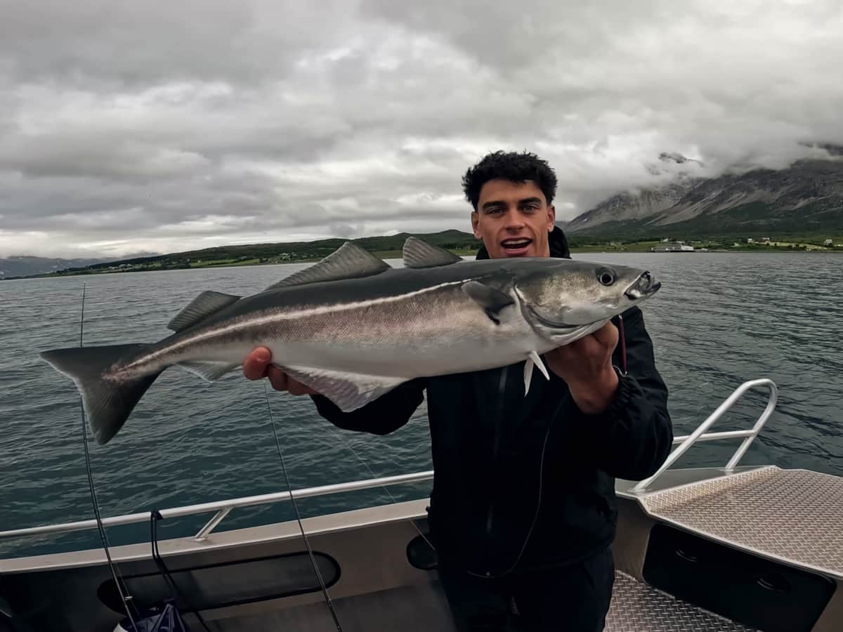 Angler hält einen großen Seelachs an Bord, dahinter der Fjord
