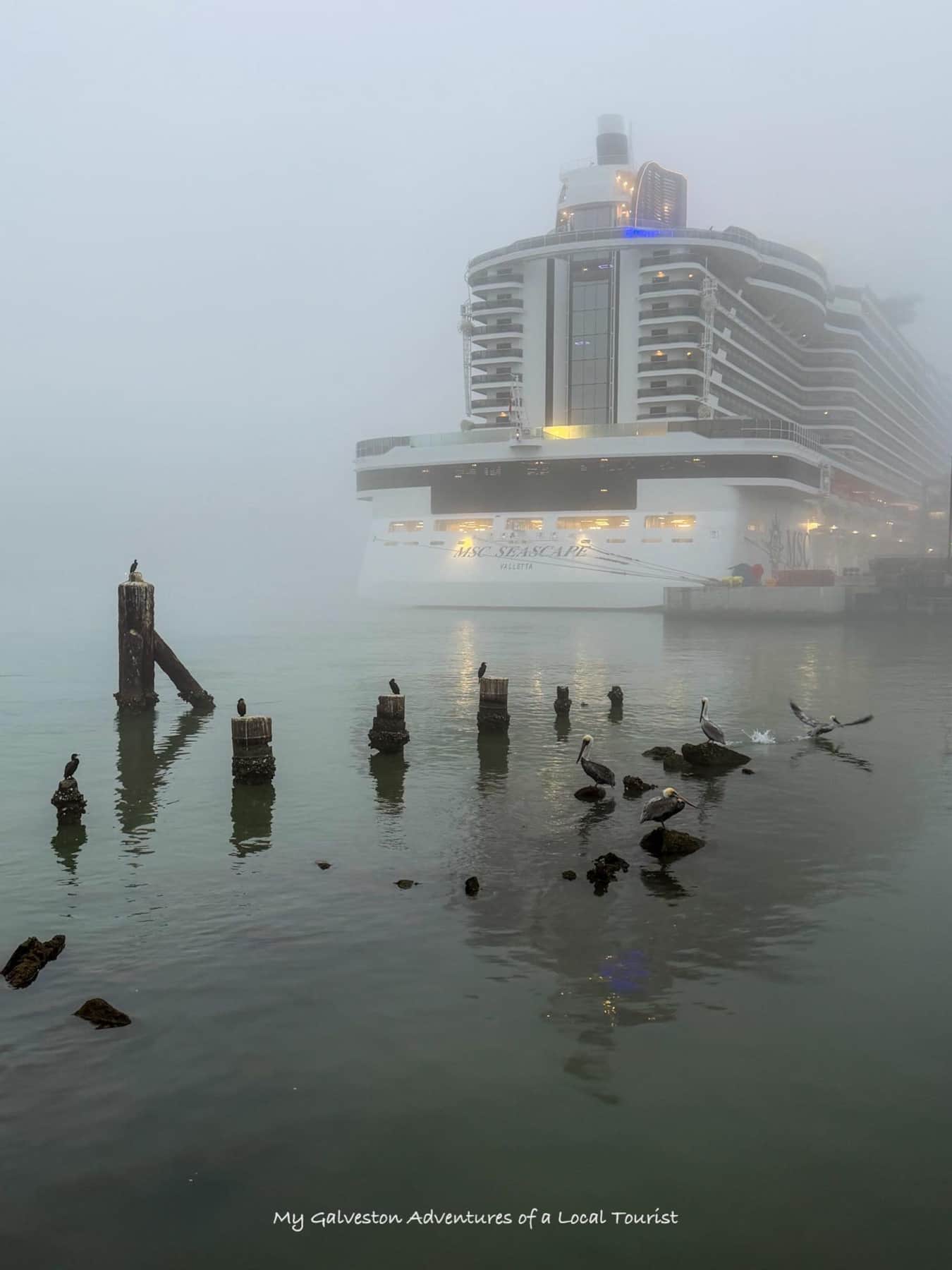 MSC cruise ship sailing from Galveston, Texas