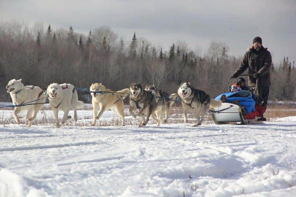 Muddy Paw Dog Sled Rides