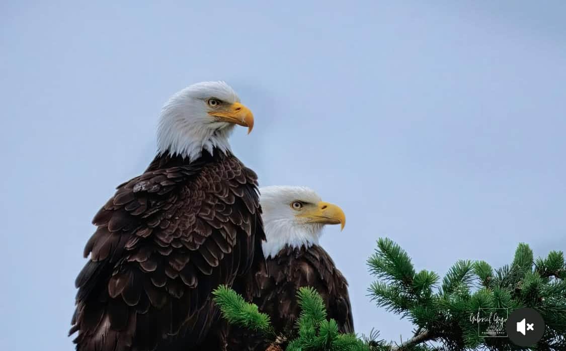 https://l.icdbcdn.com/oh/8bf60b12-2b7c-4881-a6dd-15102231ebeb.jpg?w=2080-28