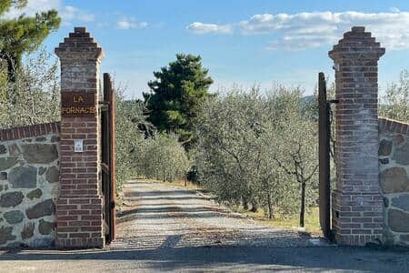 Entrance to the private estate surrounded by olive groves