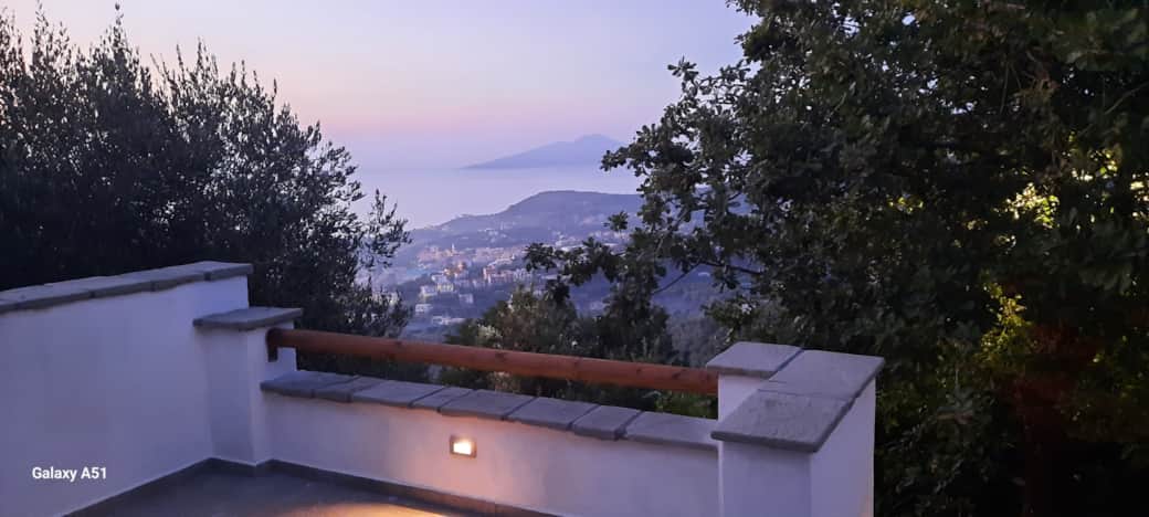 20240711 205617 resized 20240711 205617 resized