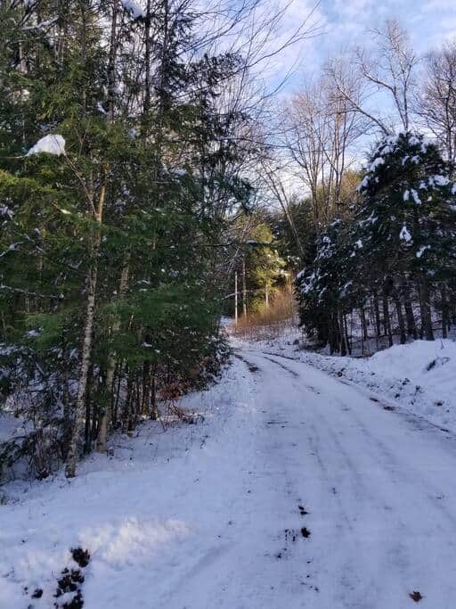 Private, wooded lot. No neighbors!