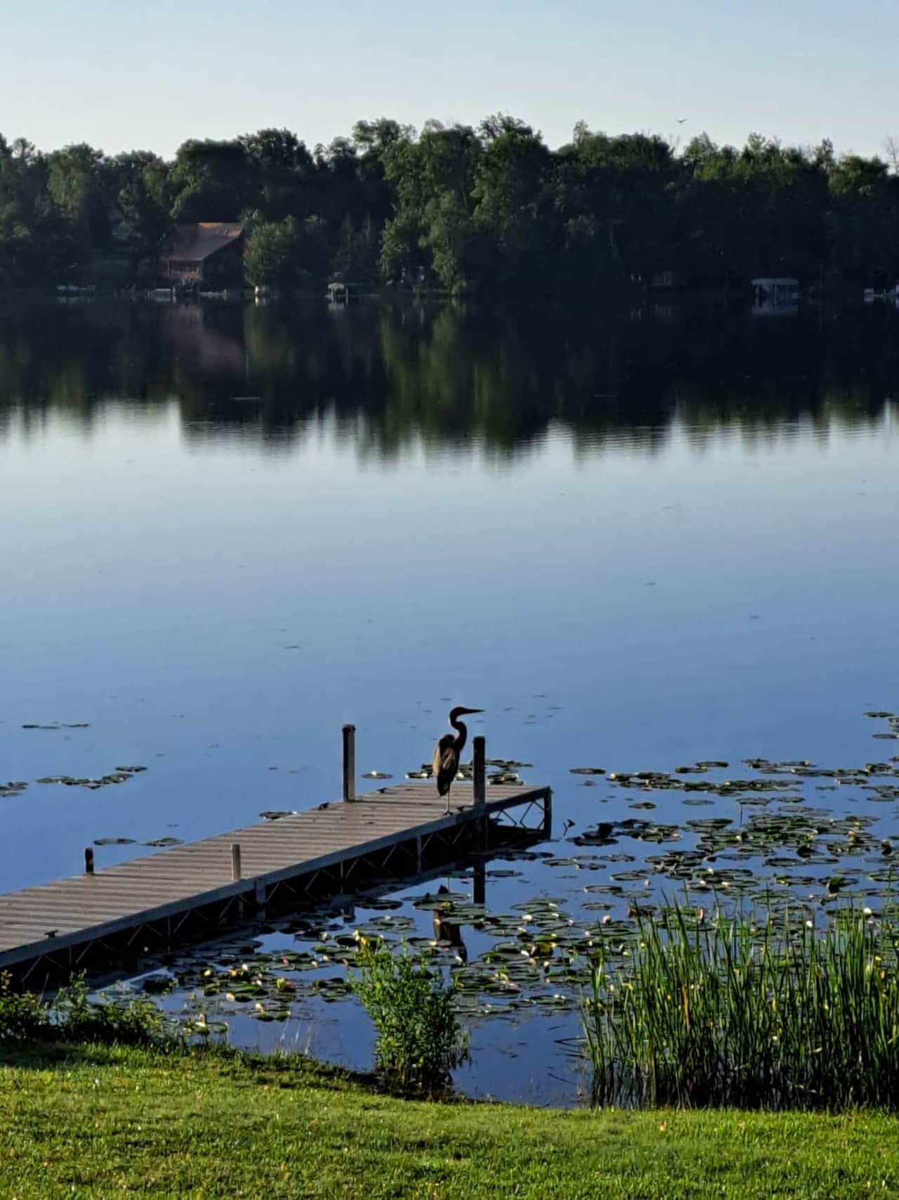 Enjoy the serenity of nature