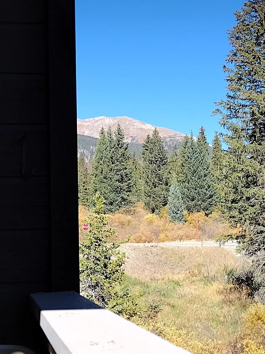 View from Balcony