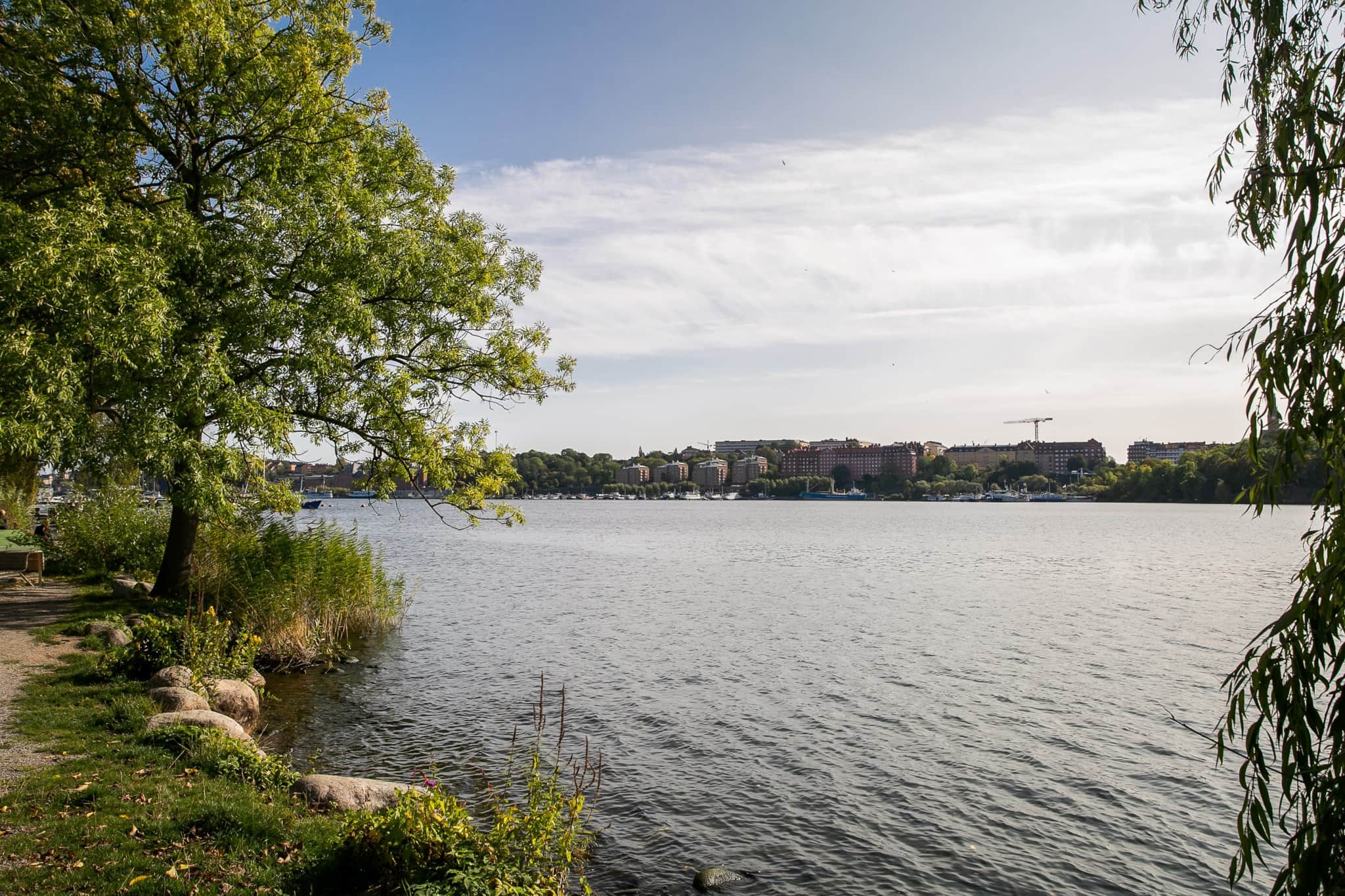 Kungsholmen7.jpg
