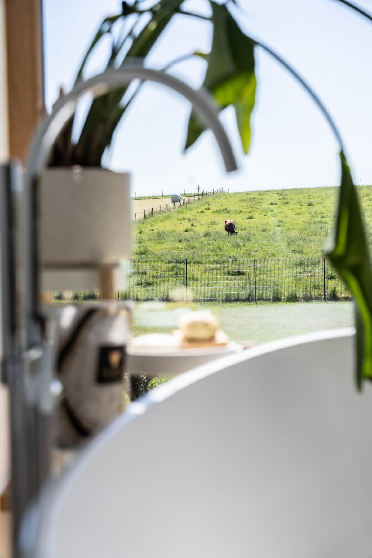 Badezimmer Blick
