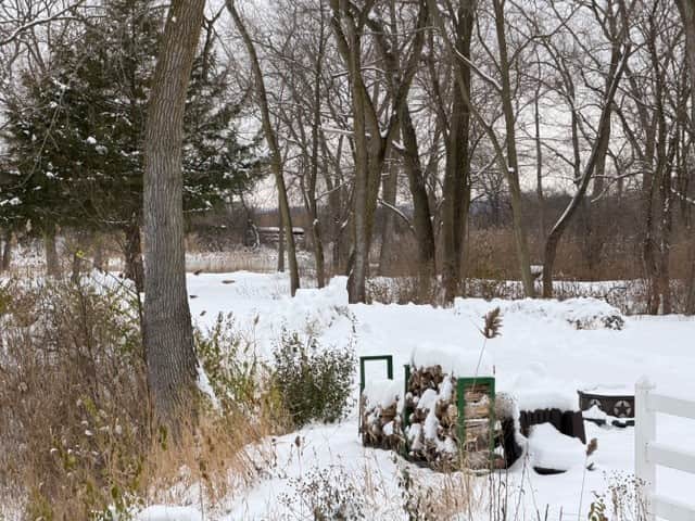 Winter 8