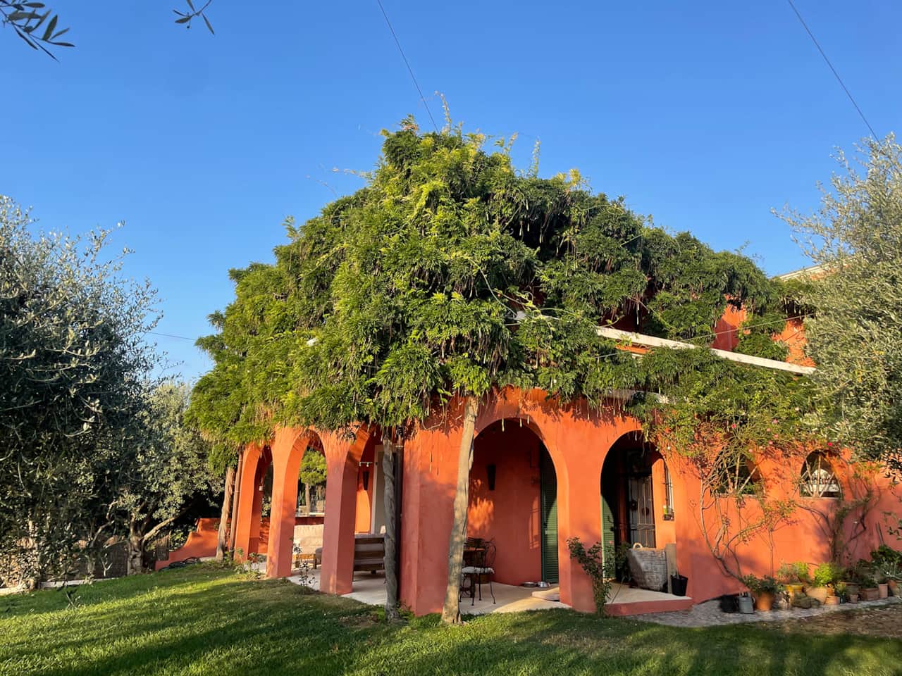 THE HOUSE