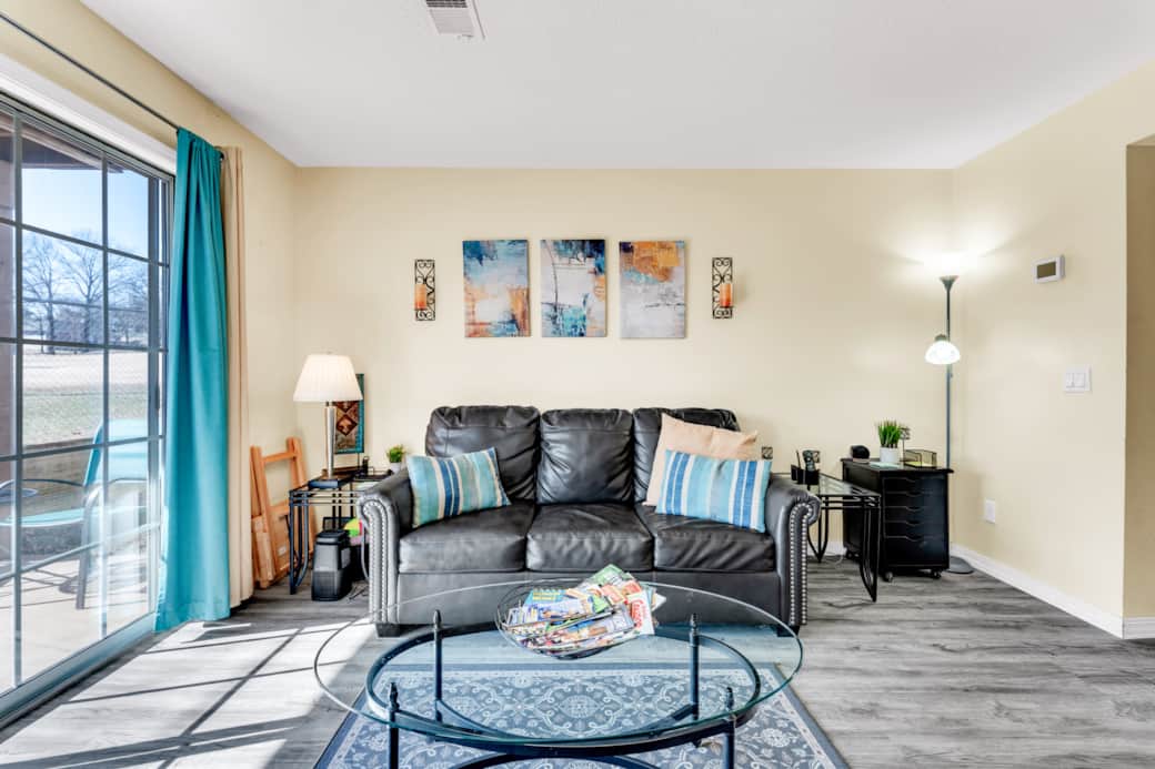 Living Room (sleeper sofa)