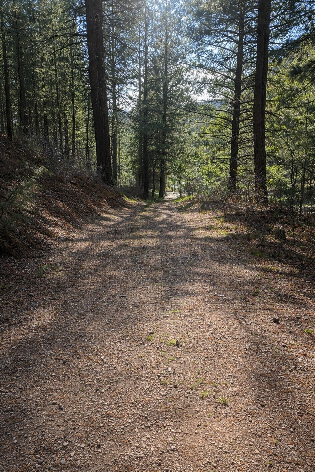 Road driving out of Upper coho Road driving out of Upper coho