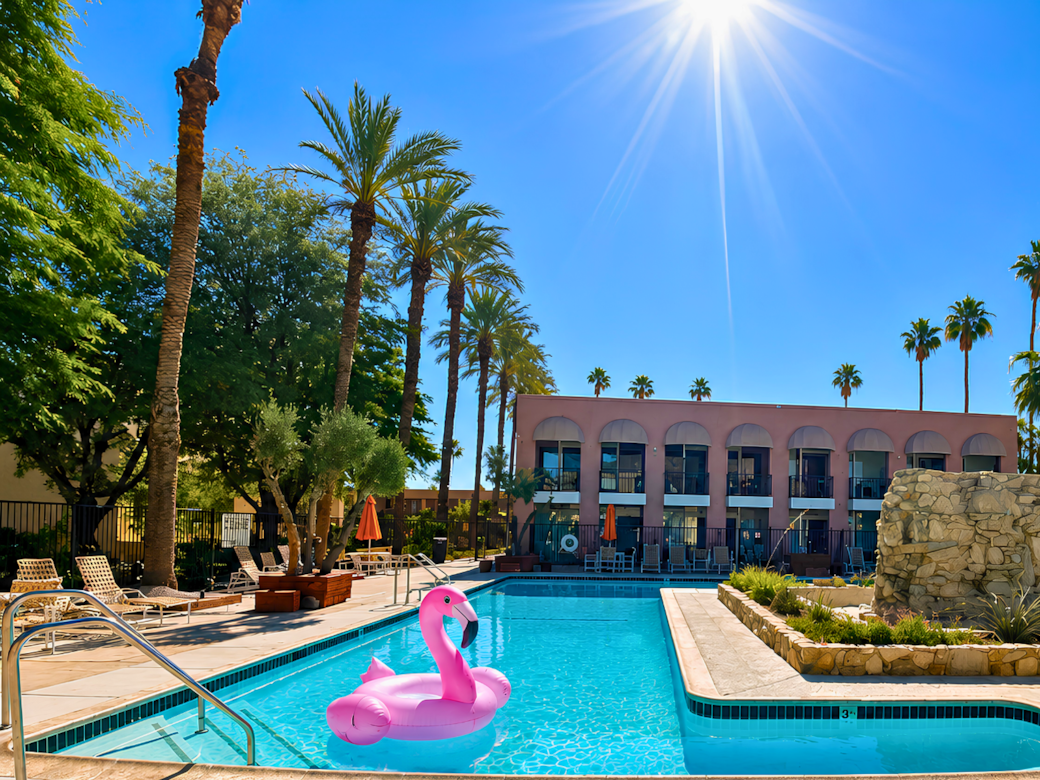 Main pool view