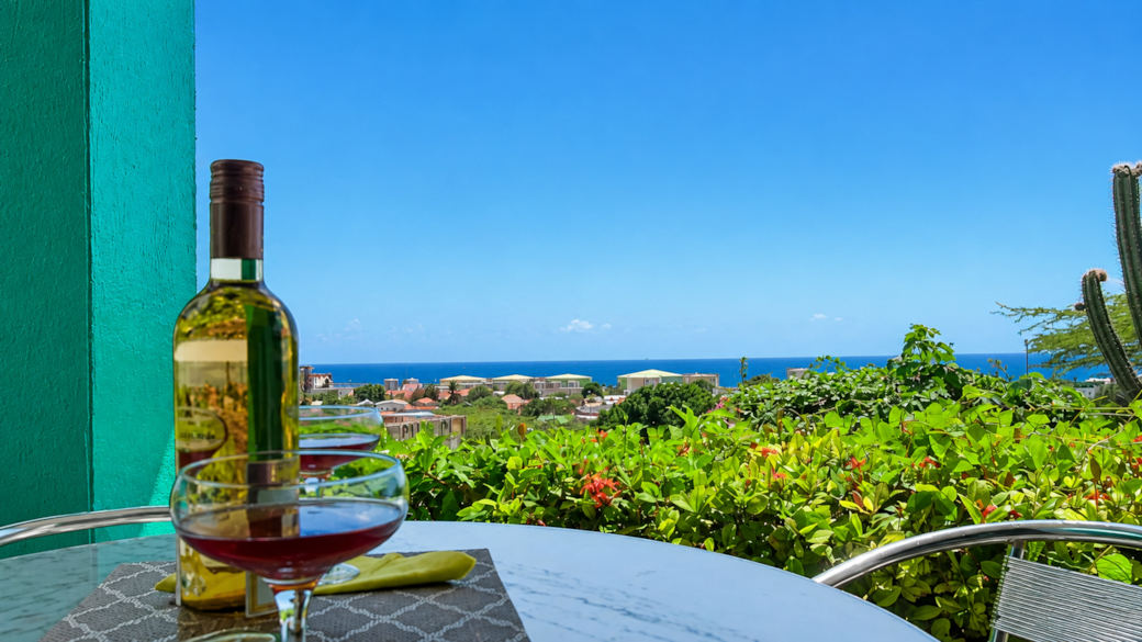 Seaviewfromterrace