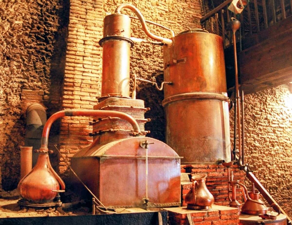 Domaine Départemental d'Ognoas