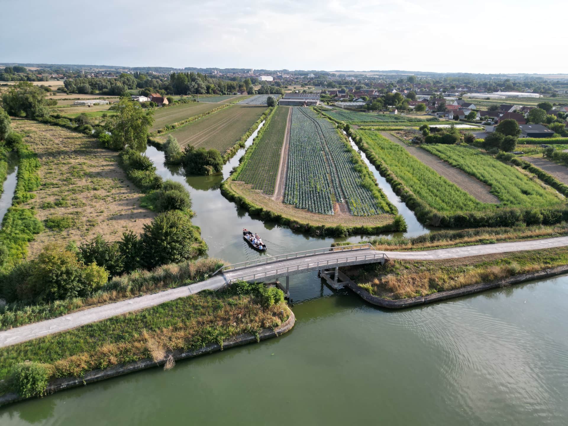 Expérience en bacove au cœur des marais