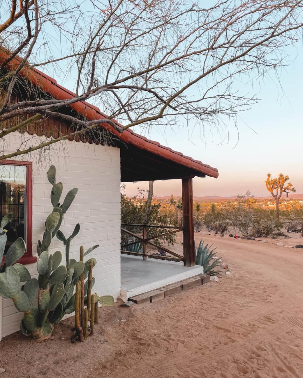 The Joshua Tree House