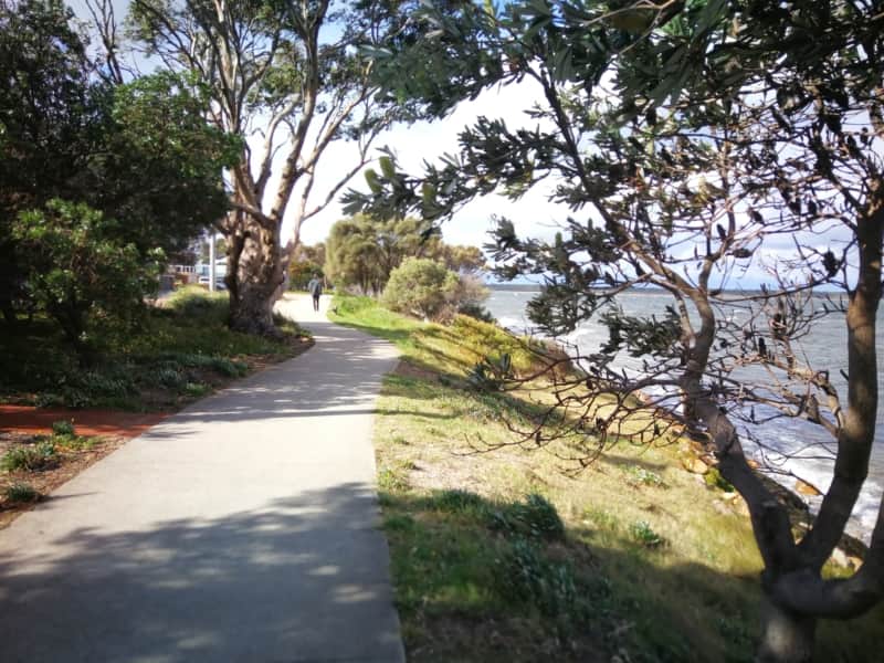 Path along shaving point