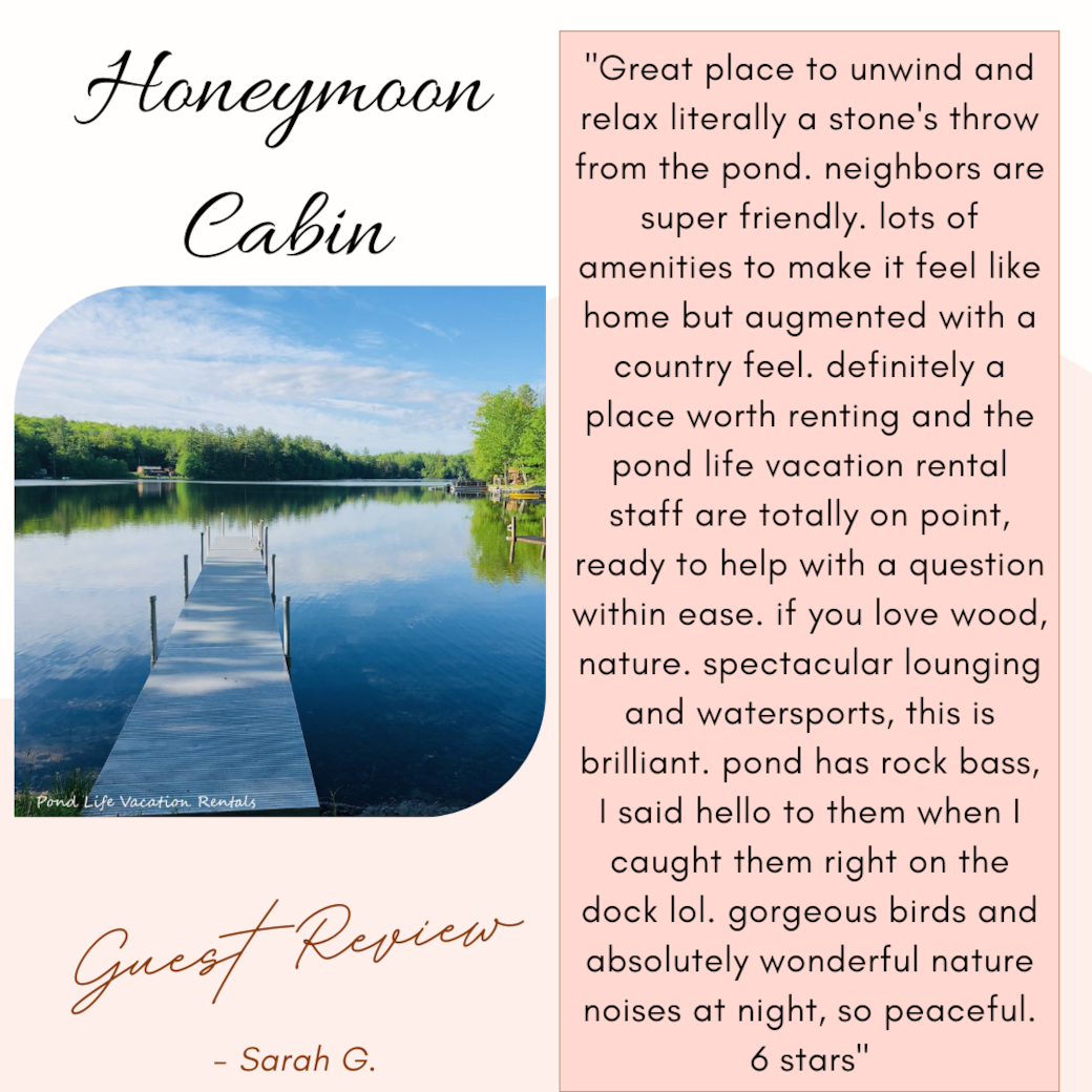 Guest Review