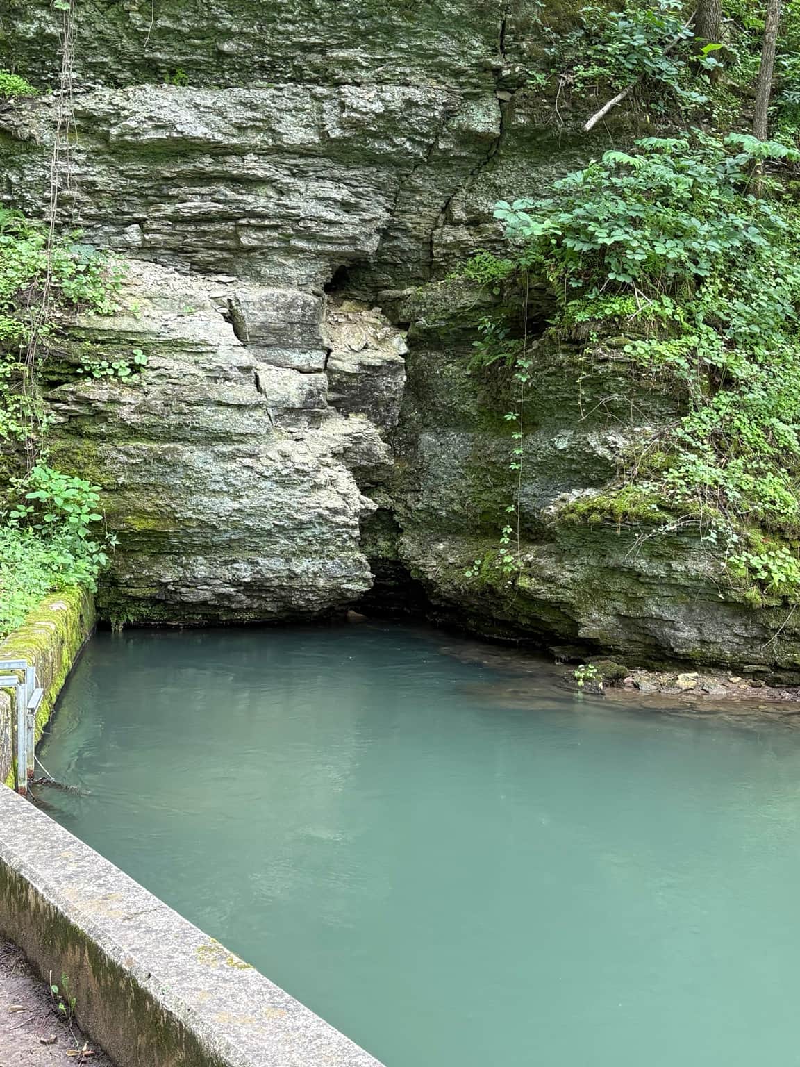 Hidden Driftless Beauty