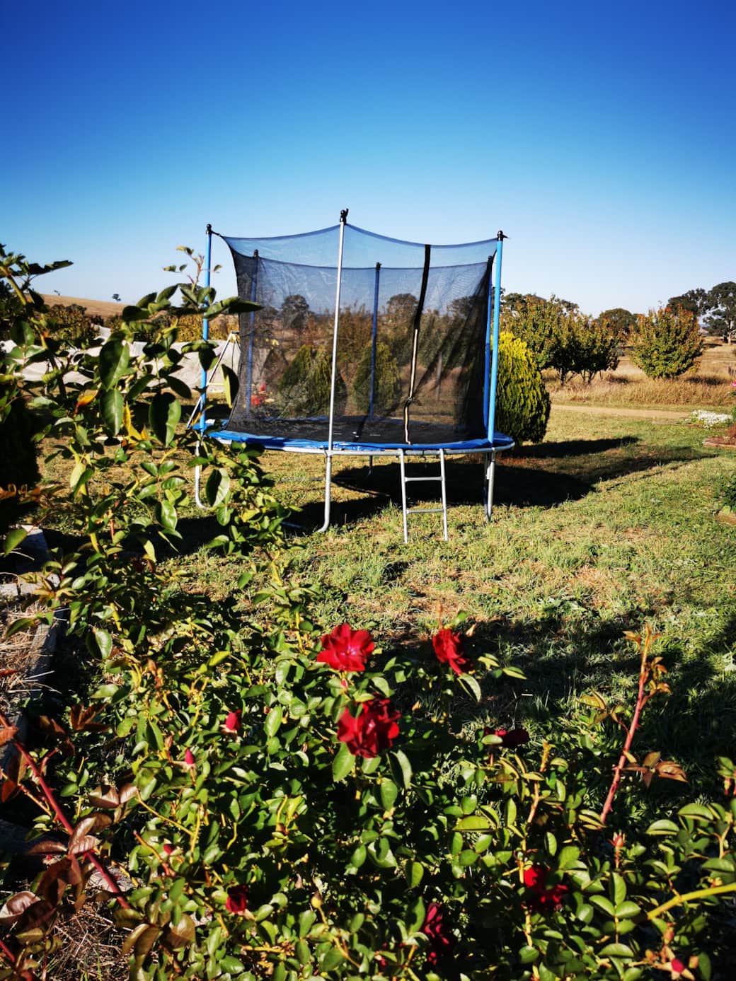Trampoline