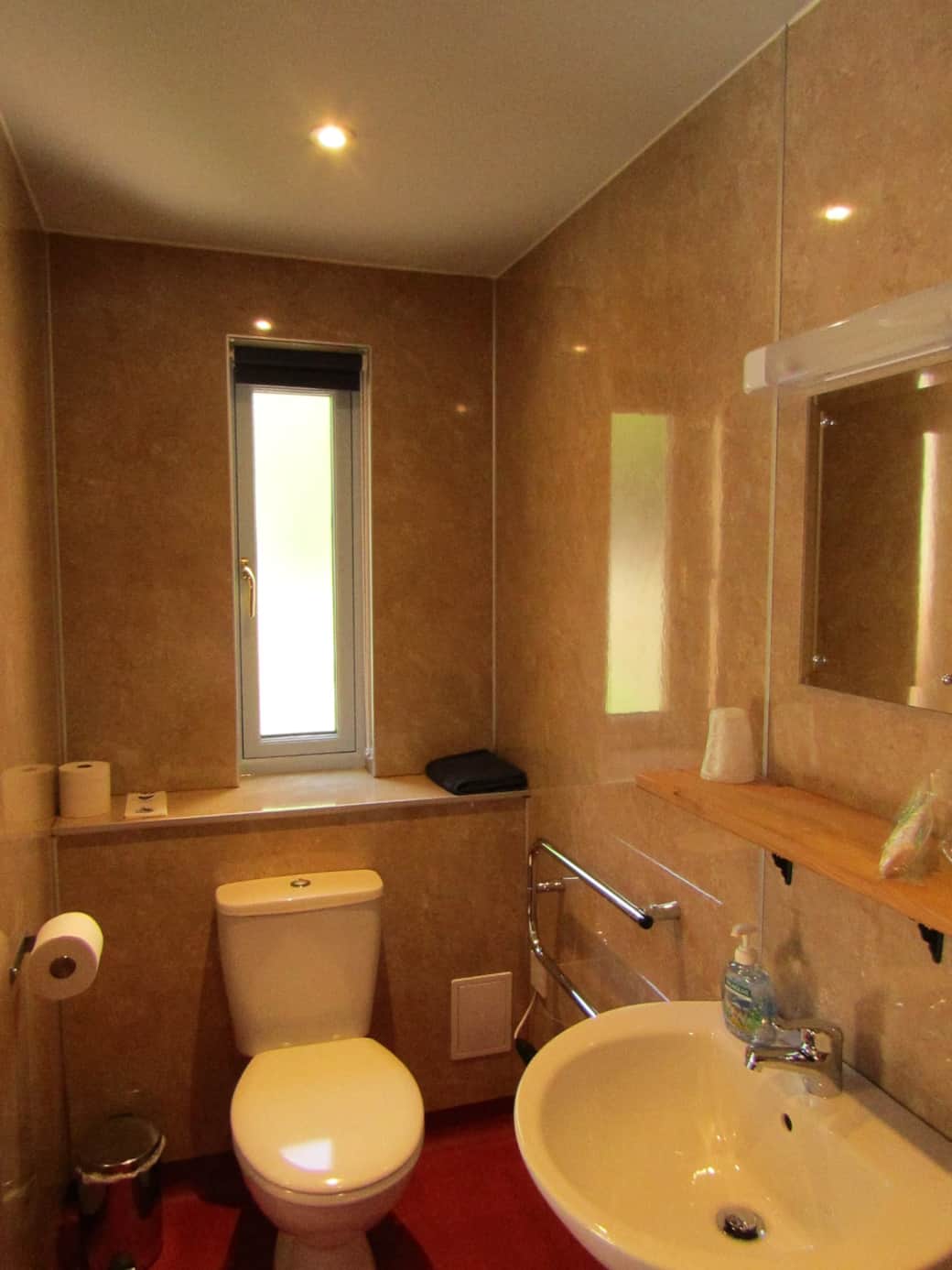 Shower room : wet room