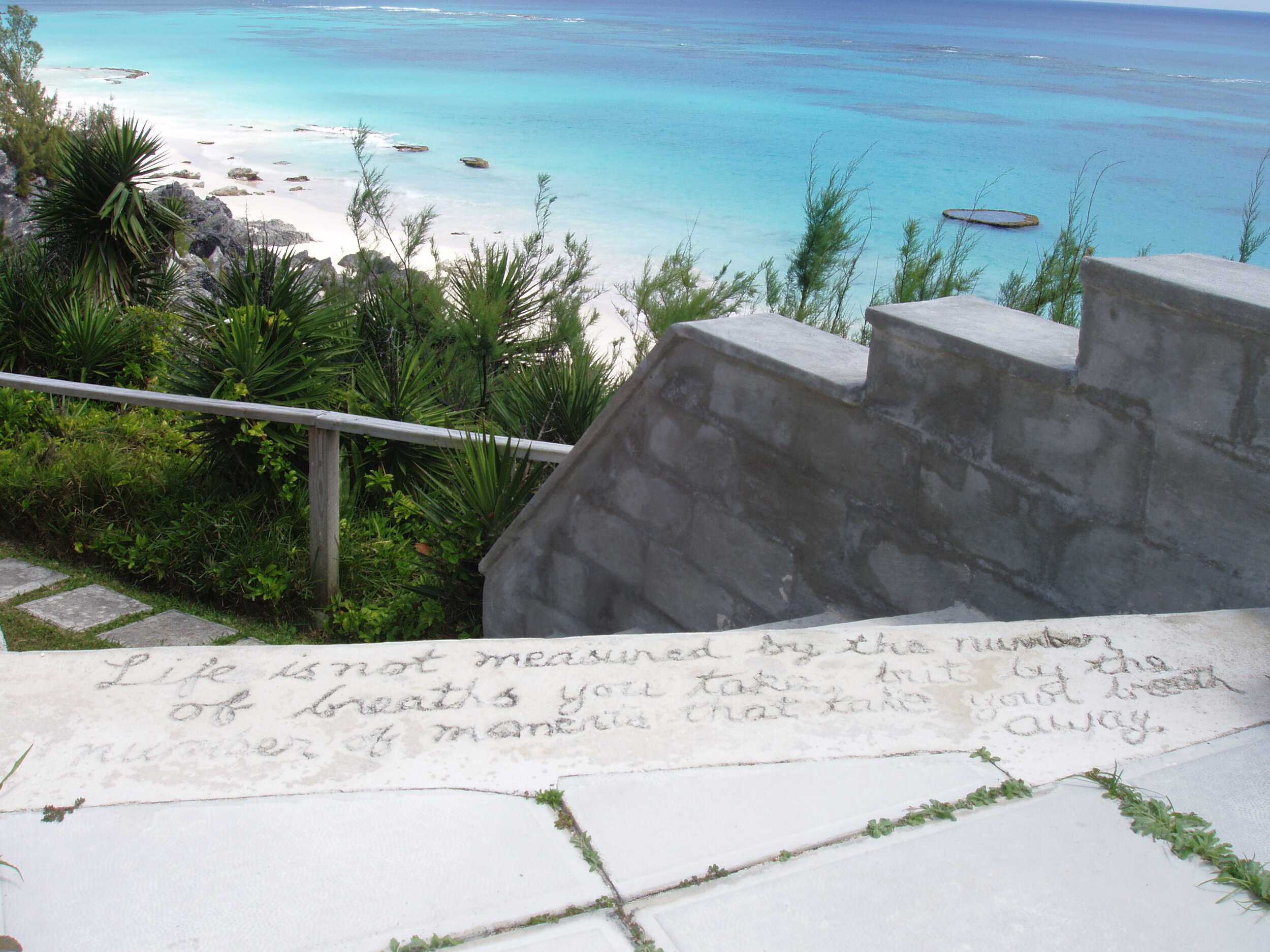 Sea Song photo 14