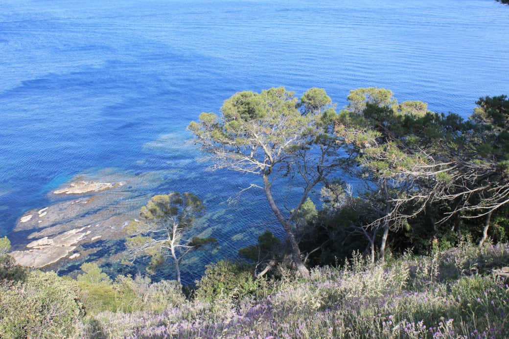 Pointe du Pinet, at 50m walking distance