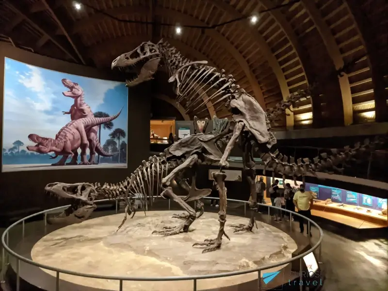 Museos. Guía local Gijón