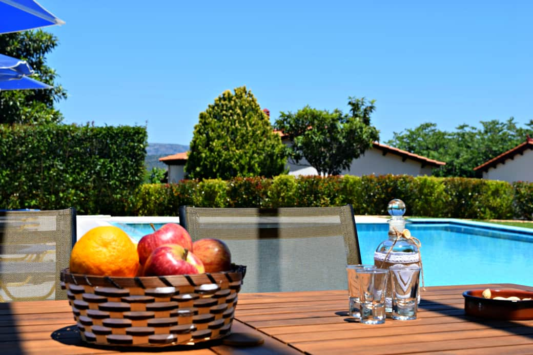 Raki and fruits by the pool