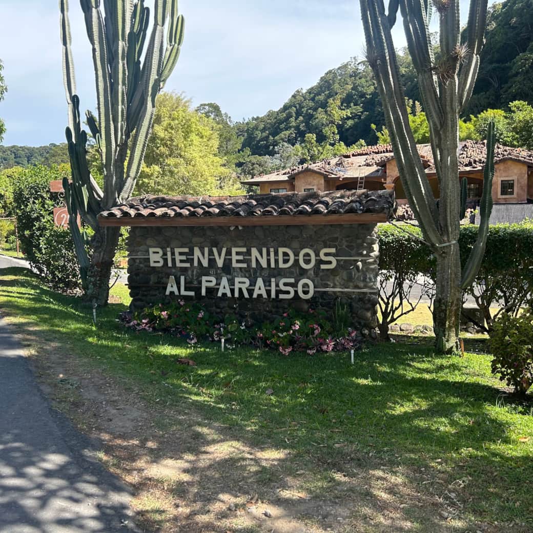 Welcome to Paradise! Welcome to Paradise!