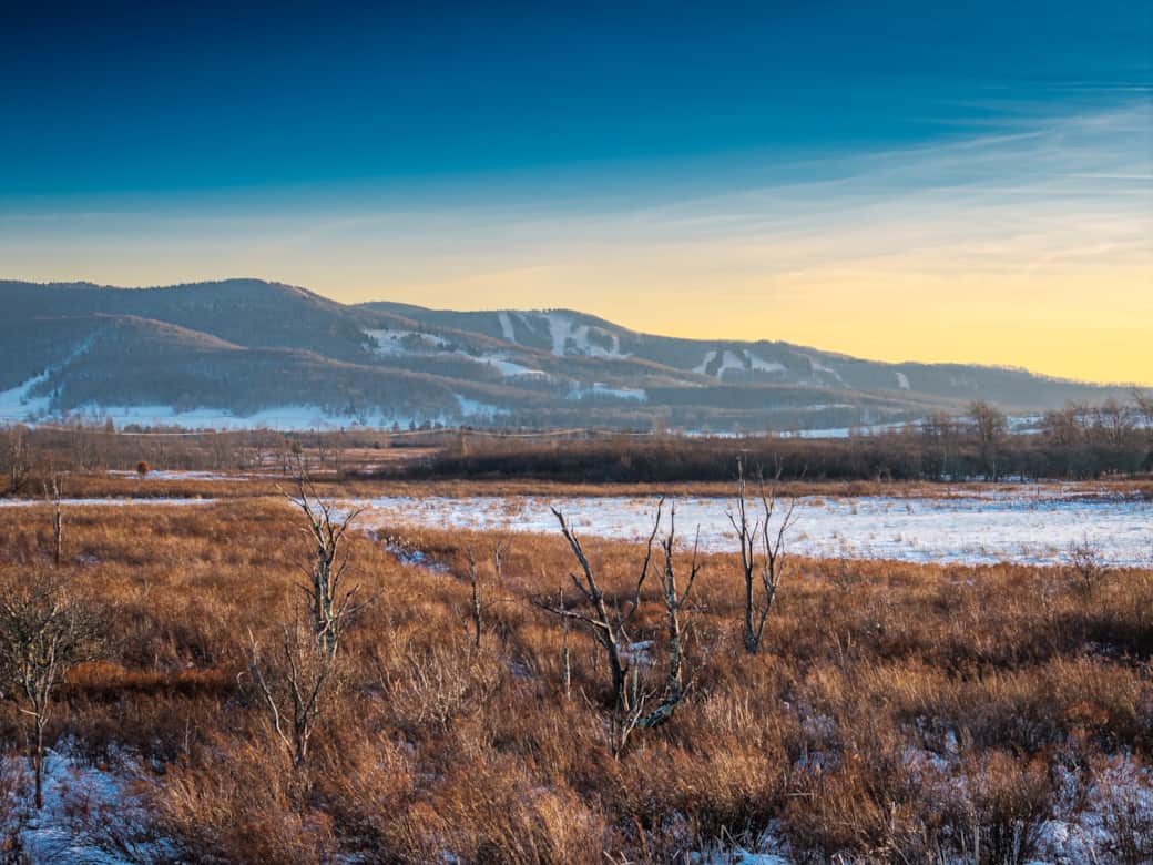 Prime view of the slopes from behind the property!