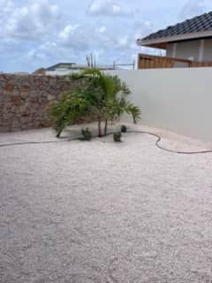 Kas Pica – Kas Pica op Bonaire – foto 17