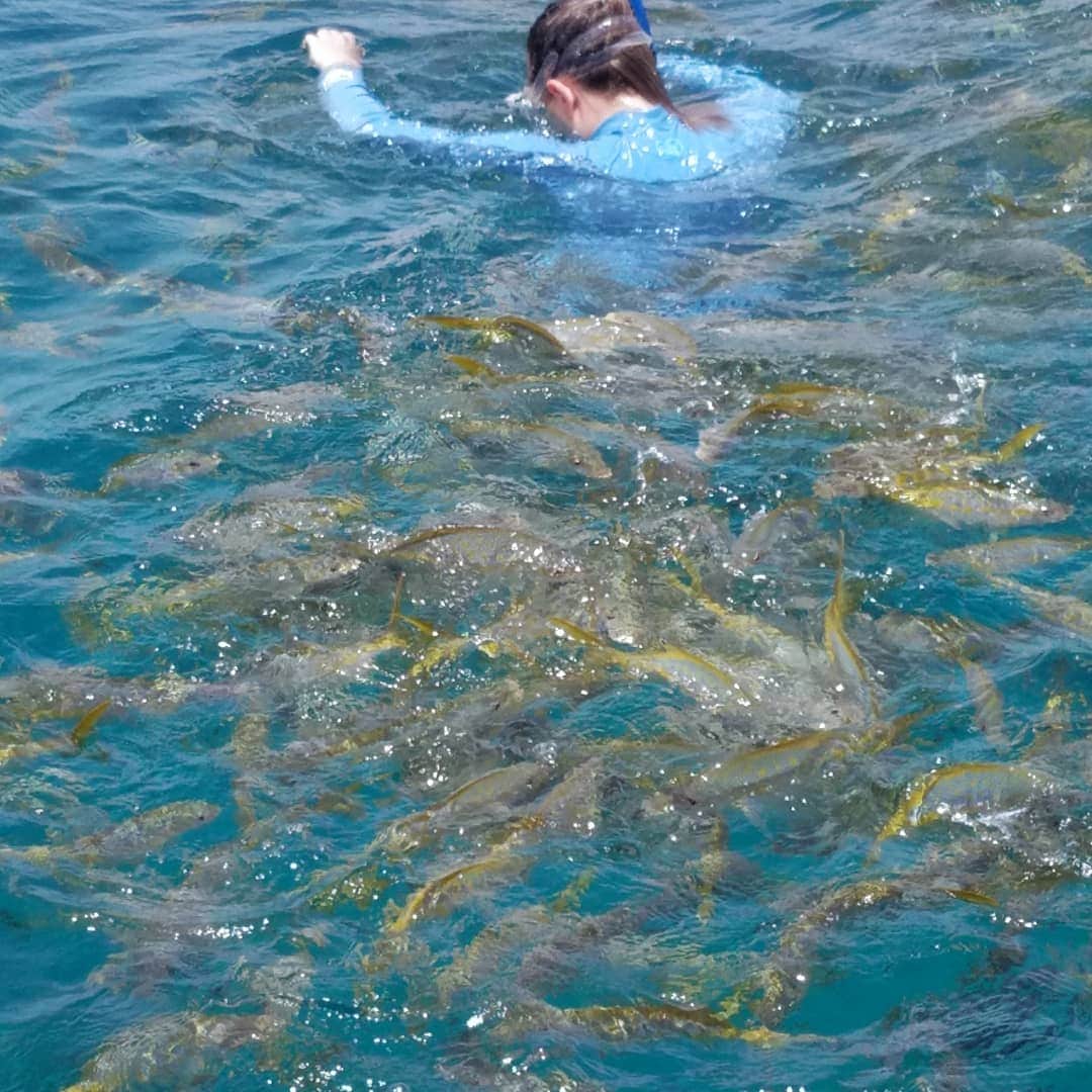 Snorkeling at Looe Key.