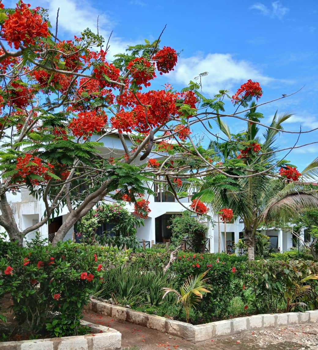 20241219 115916 20241219 115916