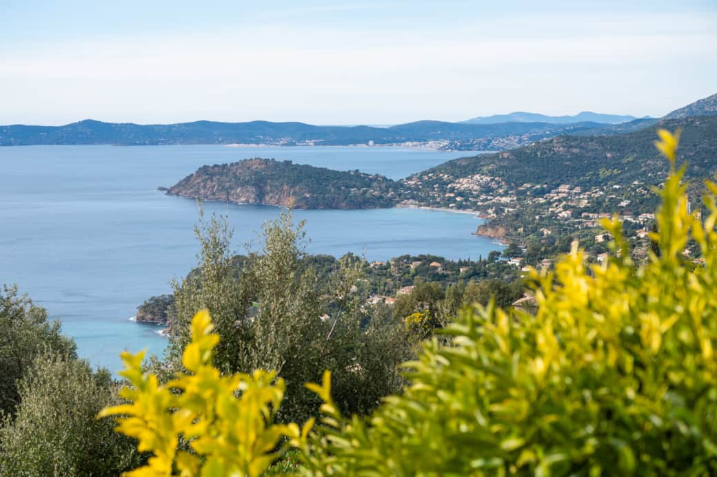 View from the lower terrace