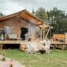 Rental image
