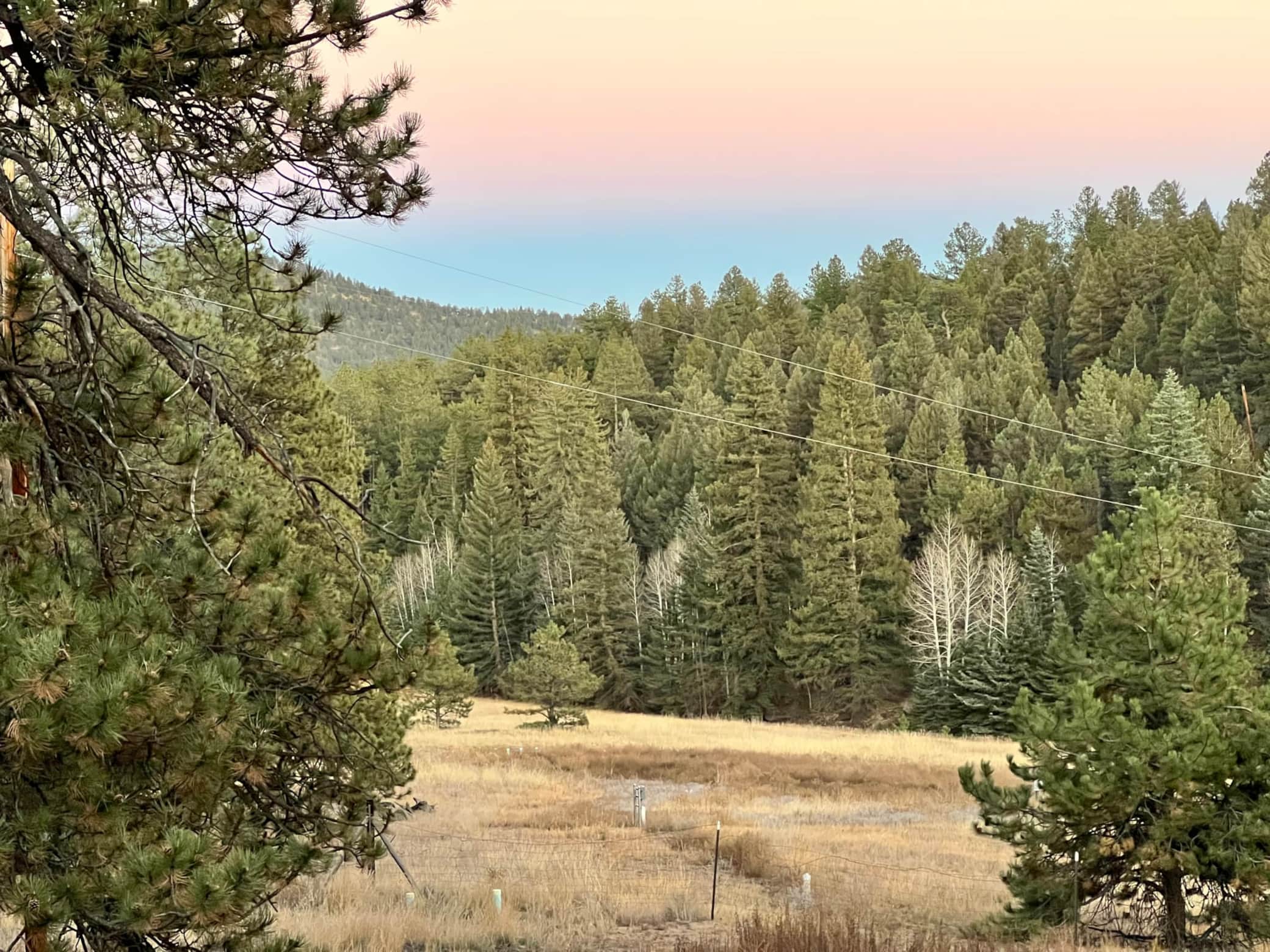 IMG_3680.jpeg