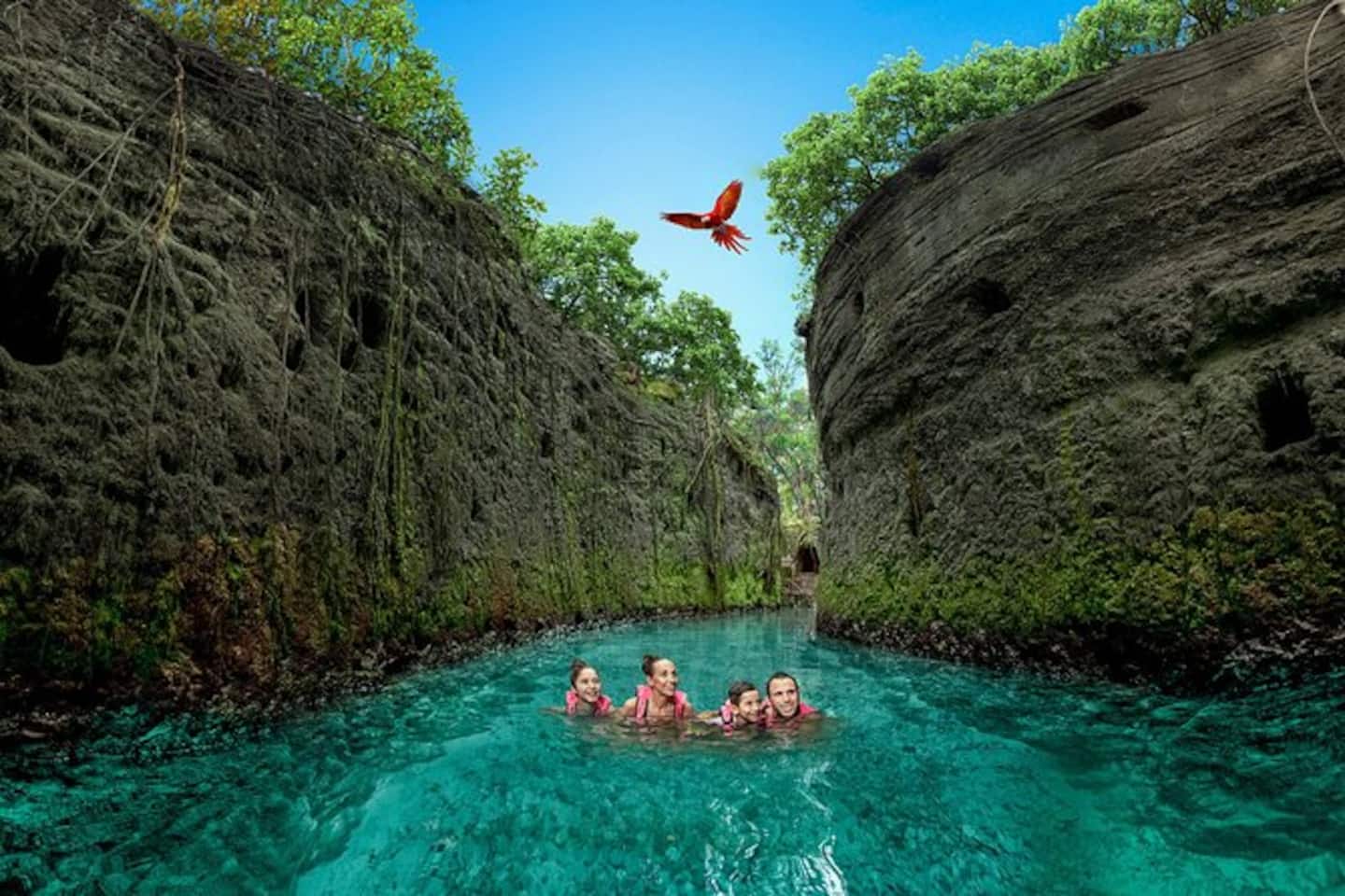 Just 30 minutes away, Xcaret Park offers rivers, wildlife, shows, dining, and unforgettable adventur