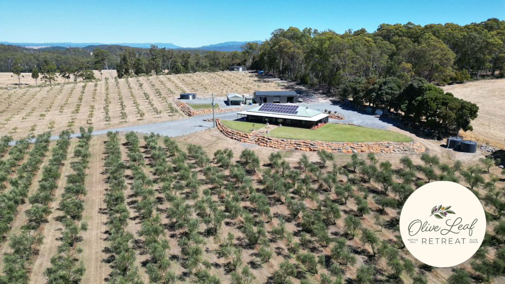 The Olive Leaf Retreat