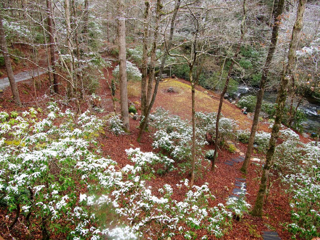 Spring is in bloom