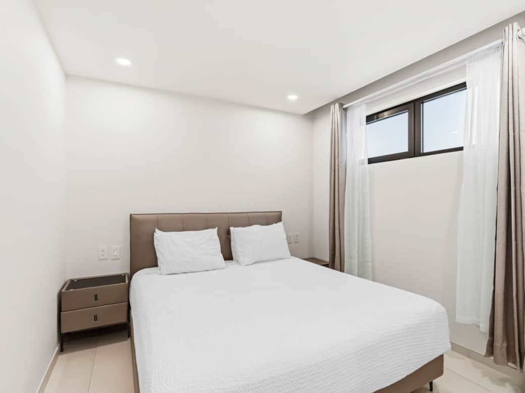 D S C00520 D S C00520