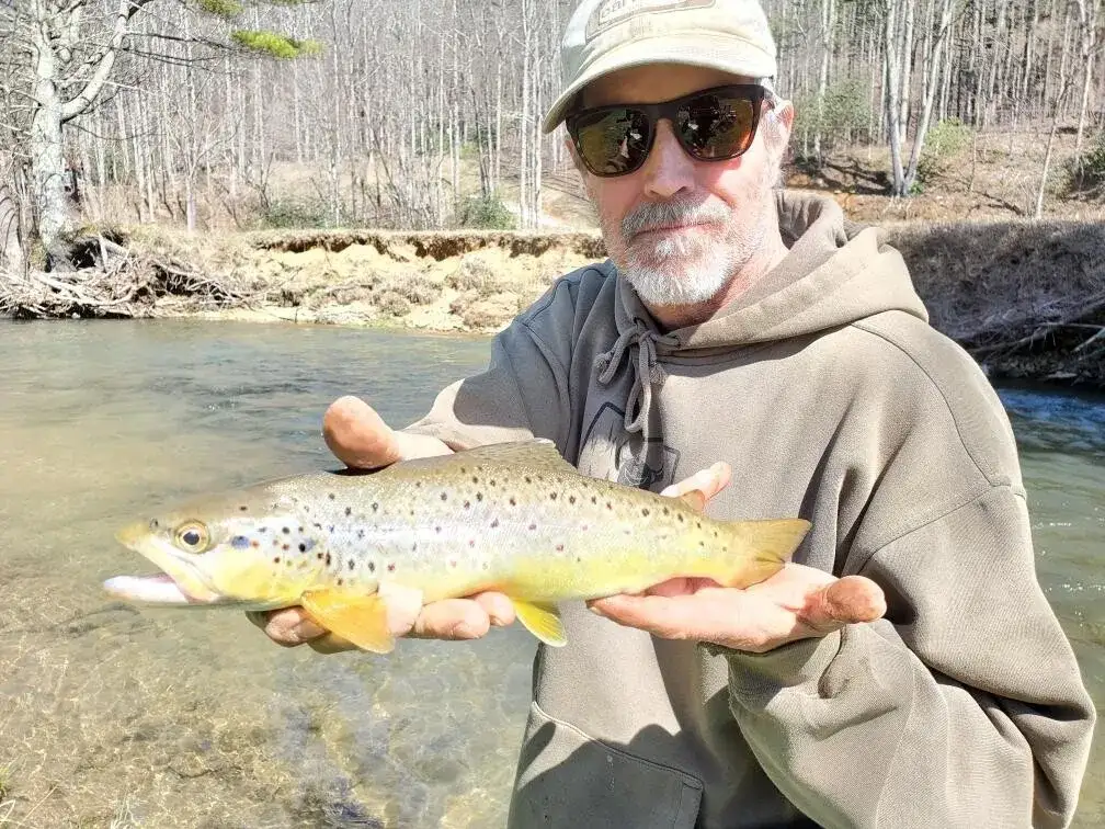 Trout fishing just steps from the porch! Trout fishing just steps from the porch!