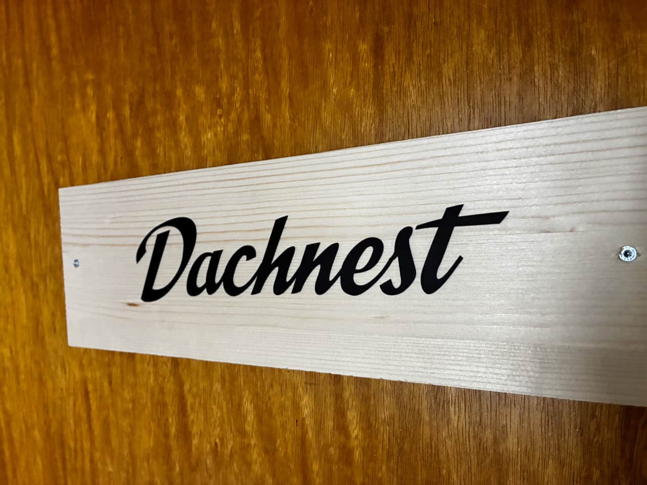 Dachnest / Eingang