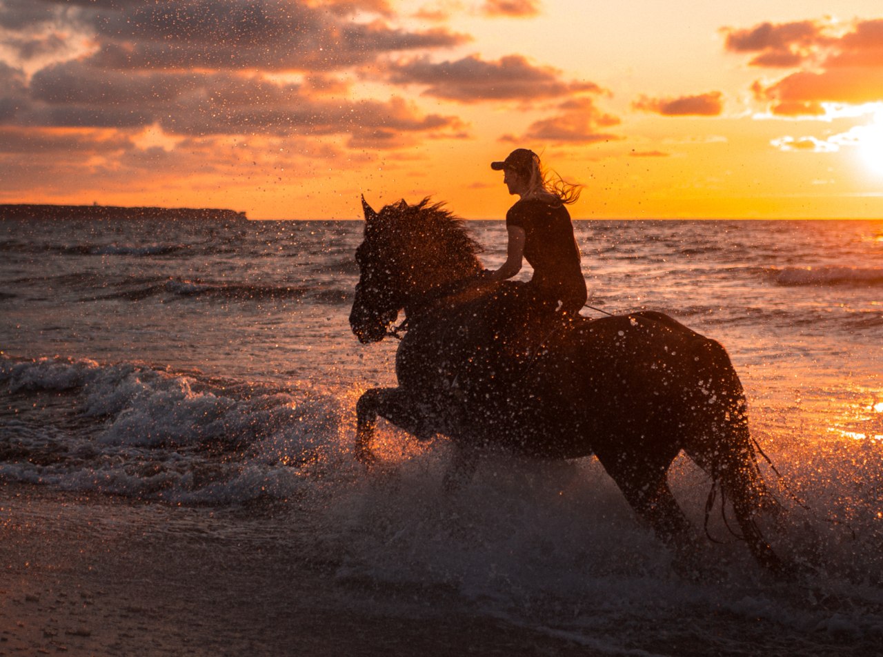 Horseback riding