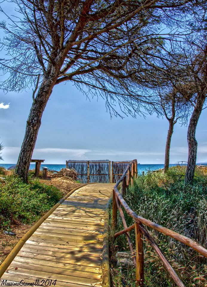 Parco della Sterpaia - Entrance to the Sea