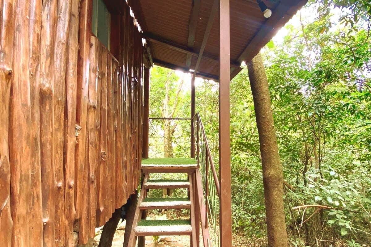 🌲 Every step brings you closer to a treetop escape.