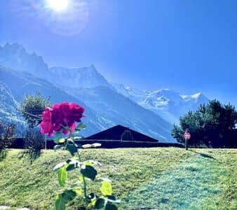 Jardin 3