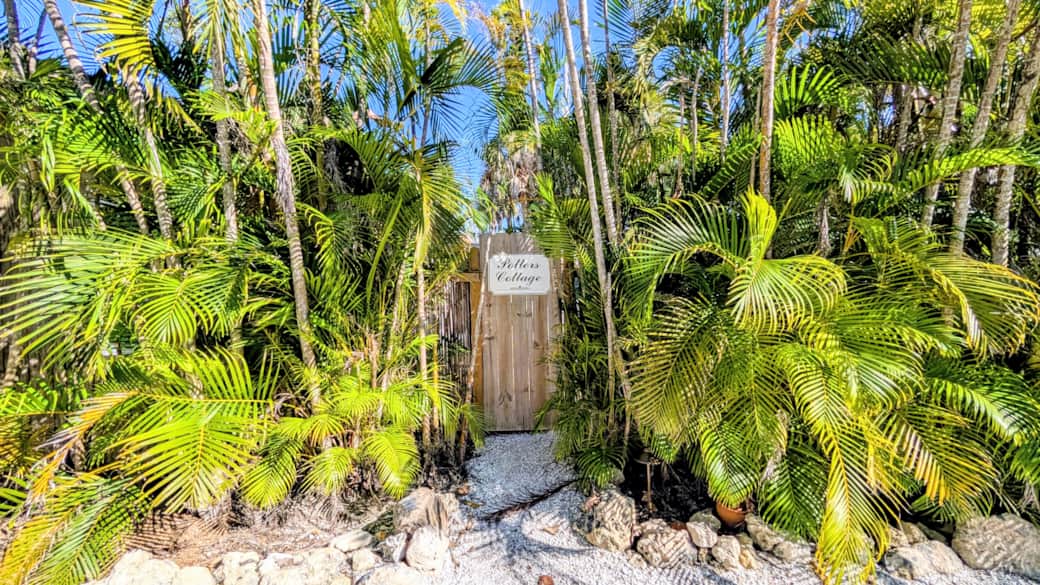 PXL 20251226 184518400.RAW 01